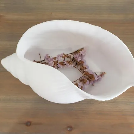 Feel - Saudade 57 * Ναζαρέ