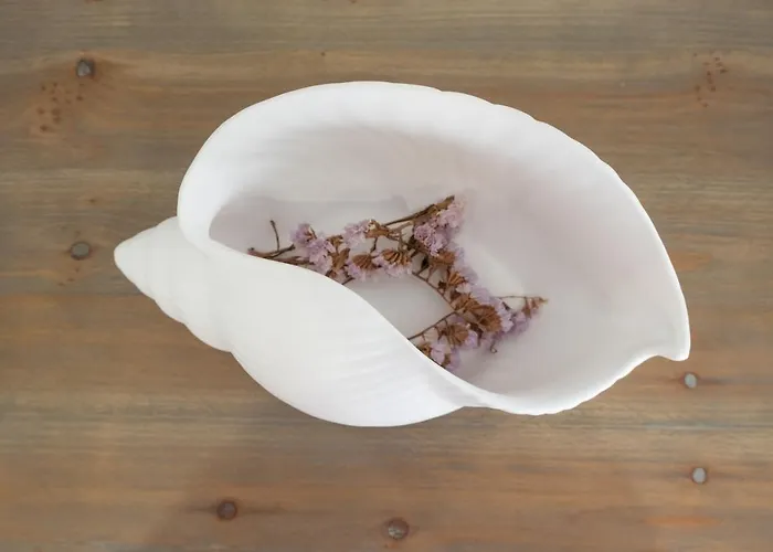 Feel - Saudade 57 * 나자레